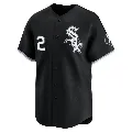 Men's Chicago White Sox ＃2 Nellie Fox Black Limited Alternate Jersey