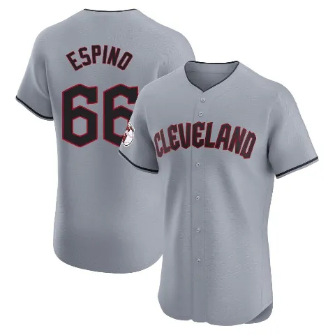 Men's Cleveland Guardians ＃66 Daniel Espino Gray Elite Road Jersey