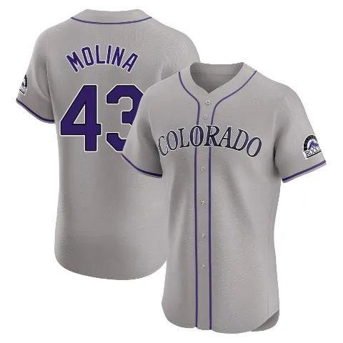 Men's Colorado Rockies ＃43 Anthony Molina Gray Elite Road Jersey
