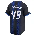 Men's Detroit Tigers ＃49 John Brebbia Blue Limited 2024 City Connect Jersey