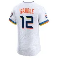 Men's Houston Astros ＃12 Michael Sandle White Elite 2025 City Connect Jersey