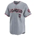 Men's Washington Nationals ＃2 Luis Garcia Jr. Gray Limited Road Jersey