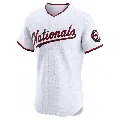 Men's Washington Nationals ＃66 Zach Brzykcy White Elite Home Jersey