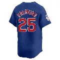 Youth Chicago Cubs ＃25 Rafael Palmeiro Royal Limited Alternate Jersey