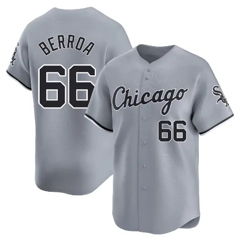 Youth Chicago White Sox ＃66 Prelander Berroa Gray Limited Road Jersey