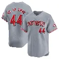 Youth Cincinnati Reds ＃44 Elly De La Cruz Gray Limited Away Jersey