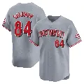 Youth Cincinnati Reds ＃84 Jared Solomon Gray Limited Away Jersey