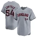 Youth Cleveland Guardians ＃54 Joey Cantillo Gray Limited Road Jersey