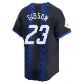 Youth Detroit Tigers ＃23 Kirk Gibson Blue Limited 2024 City Connect Jersey