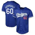 Youth Los Angeles Dodgers ＃60 Edgardo Henriquez Royal Limited Alternate World Series Champions Jersey