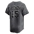 Youth New York Mets ＃15 Tyrone Taylor Limited Graphite 2024 City Connect Jersey