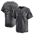 Youth New York Mets ＃29 Jared Young Limited Graphite 2024 City Connect Jersey