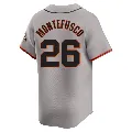 Youth San Francisco Giants ＃26 John Montefusco Gray Limited Away Jersey