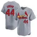 Youth St. Louis Cardinals ＃44 Kyle Gibson Gray Limited Away Jersey