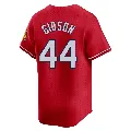 Youth St. Louis Cardinals ＃44 Kyle Gibson Red Limited 2024 City Connect Jersey