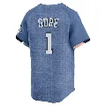 Youth Washington Nationals ＃1 MacKenzie Gore Blue Limited 2025 City Connect Jersey