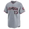 Youth Washington Nationals ＃53 Joe La Sorsa Gray Limited Road Jersey