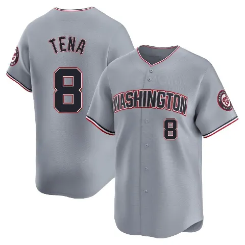 Youth Washington Nationals ＃8 Jose Tena Gray Limited Road Jersey